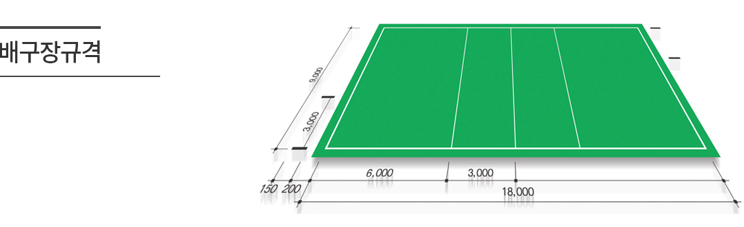 배구장규격
